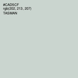 #CAD5CF - Tasman Color Image