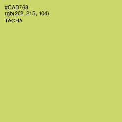 #CAD768 - Tacha Color Image