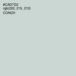 #CAD7D2 - Conch Color Image