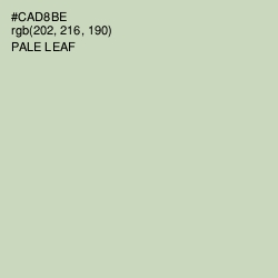 #CAD8BE - Pale Leaf Color Image