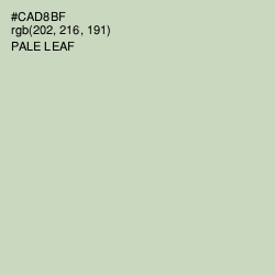 #CAD8BF - Pale Leaf Color Image