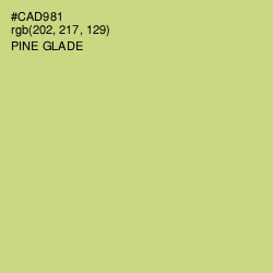 #CAD981 - Pine Glade Color Image