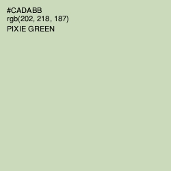 #CADABB - Pixie Green Color Image