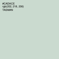 #CADACE - Tasman Color Image