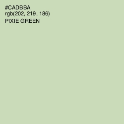 #CADBBA - Pixie Green Color Image