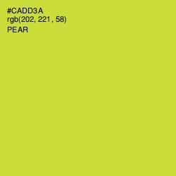 #CADD3A - Pear Color Image