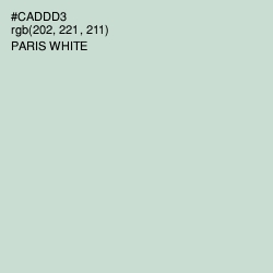 #CADDD3 - Paris White Color Image