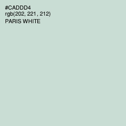 #CADDD4 - Paris White Color Image