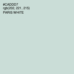 #CADDD7 - Paris White Color Image