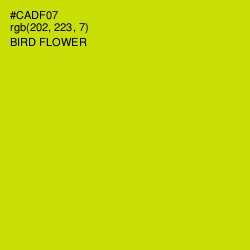 #CADF07 - Bird Flower Color Image