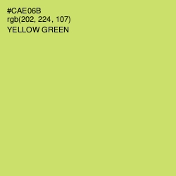 #CAE06B - Yellow Green Color Image