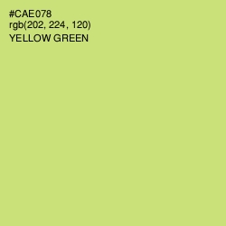 #CAE078 - Yellow Green Color Image