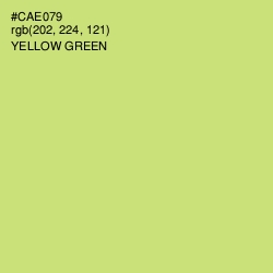 #CAE079 - Yellow Green Color Image