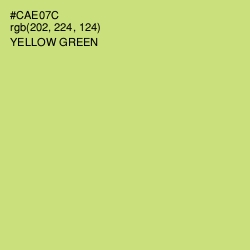 #CAE07C - Yellow Green Color Image