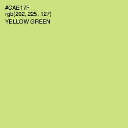 #CAE17F - Yellow Green Color Image