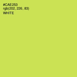 #CAE253 - Wattle Color Image