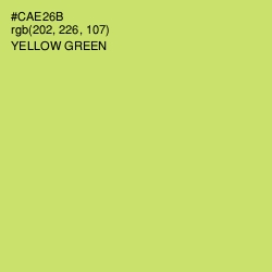 #CAE26B - Yellow Green Color Image