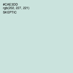 #CAE3DD - Skeptic Color Image