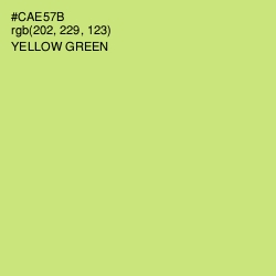 #CAE57B - Yellow Green Color Image