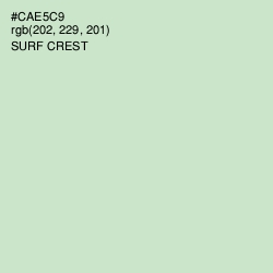 #CAE5C9 - Surf Crest Color Image