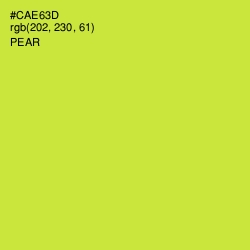 #CAE63D - Pear Color Image
