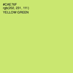 #CAE76F - Yellow Green Color Image