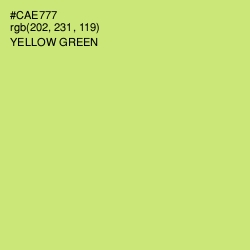 #CAE777 - Yellow Green Color Image