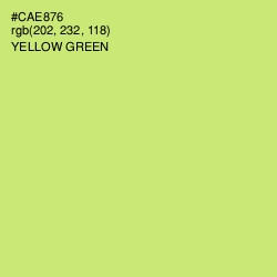 #CAE876 - Yellow Green Color Image