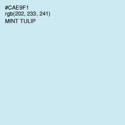 #CAE9F1 - Mint Tulip Color Image