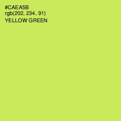 #CAEA5B - Yellow Green Color Image