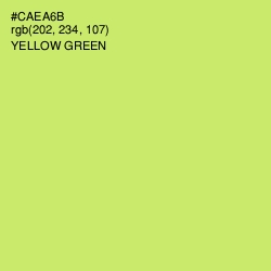 #CAEA6B - Yellow Green Color Image