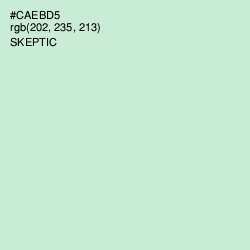 #CAEBD5 - Skeptic Color Image
