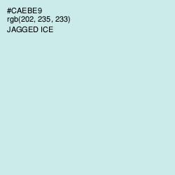 #CAEBE9 - Jagged Ice Color Image