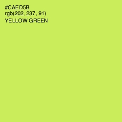 #CAED5B - Yellow Green Color Image
