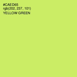 #CAED65 - Yellow Green Color Image