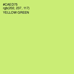#CAED75 - Yellow Green Color Image