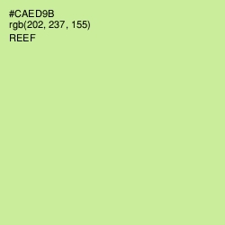 #CAED9B - Reef Color Image