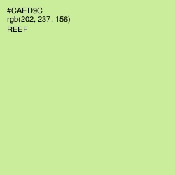 #CAED9C - Reef Color Image