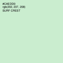 #CAEDD0 - Surf Crest Color Image