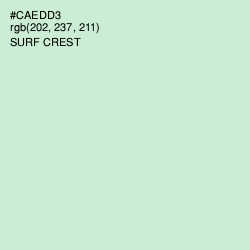 #CAEDD3 - Surf Crest Color Image