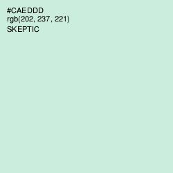 #CAEDDD - Skeptic Color Image