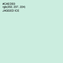 #CAEDE0 - Jagged Ice Color Image