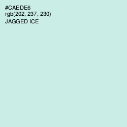 #CAEDE6 - Jagged Ice Color Image