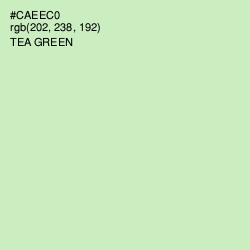 #CAEEC0 - Tea Green Color Image