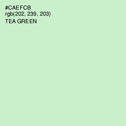 #CAEFCB - Tea Green Color Image