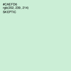 #CAEFD6 - Skeptic Color Image