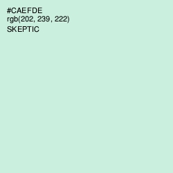 #CAEFDE - Skeptic Color Image