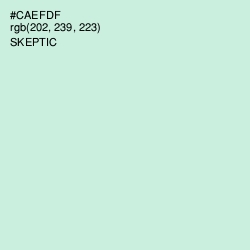 #CAEFDF - Skeptic Color Image