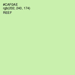 #CAF0AE - Reef Color Image