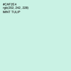 #CAF2E4 - Mint Tulip Color Image